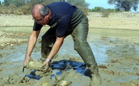 Canlar susuz kalmasın diye, belediye göletlere su takviyesi yaptı