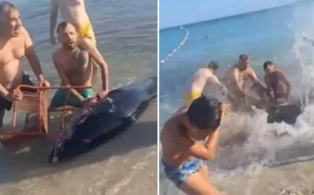 3 kişi 200 bin liralık balığı ellerinden böyle kaçırdı