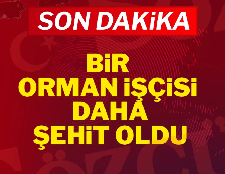 Ödemiş'ten acı haber: Yangında yaralanan bir orman işçisi daha şehit oldu