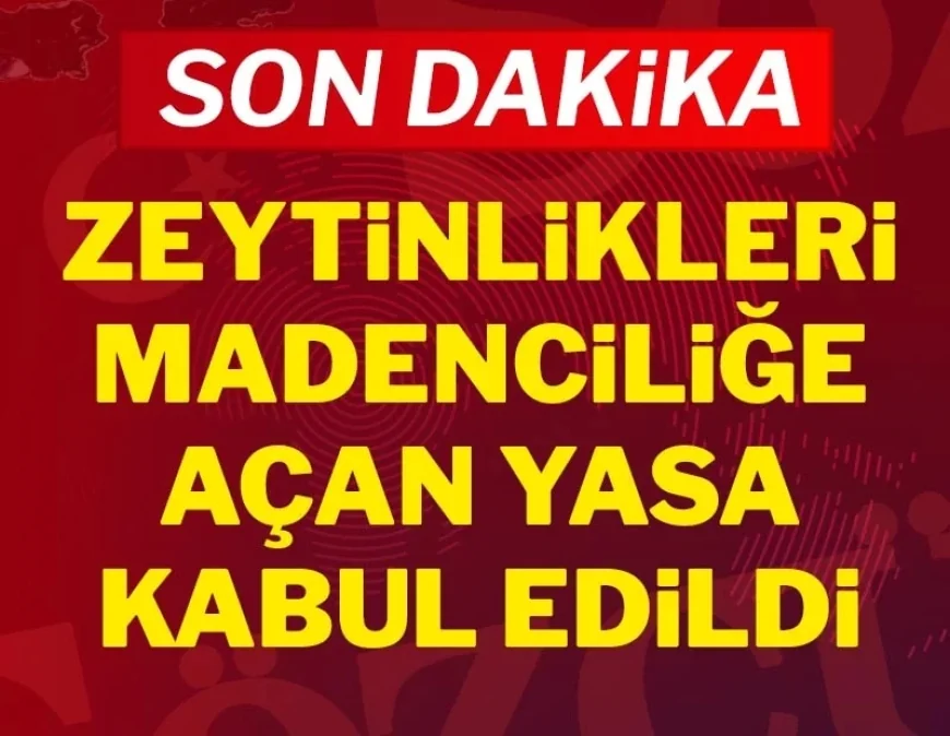Son Dakika: Zeytinlikleri madenciliğe açan kanun kabul edildi