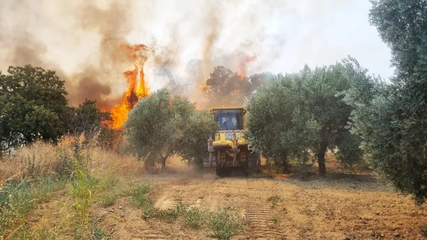 Muğla ve Aydın’da orman yangınları başladı