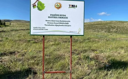 SEZEN AKSU ARKADAŞLARININ ANISINA TÜRKİYE’Yİ FİDANLARLA DONATTI