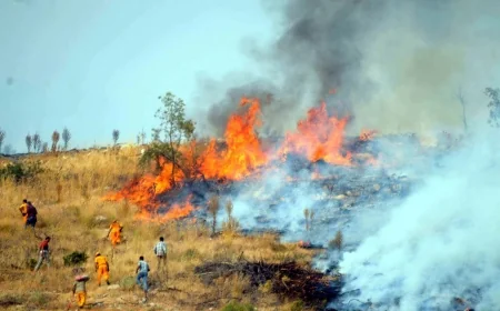 Bodrum Yakaköy’de yangın kabusu alevler evlere yaklaştı