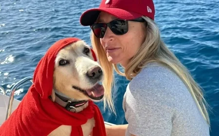 Müzisyen Kurtoğlu , köpeğini öldüren otomobil sürücüsünün peşini bırakmıyor