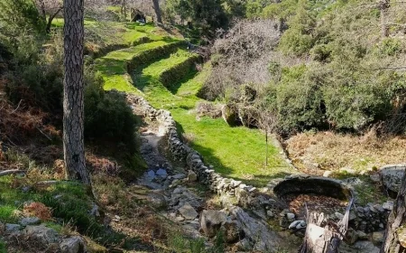 Madencilerin talanı altında bulunan Latmos (Beşparmak) Dağları 1. Derece Arkeolojik Sit Alanı ilan edildi, yeni kaya resimleri bulundu