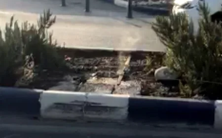 AYDEM’E SORDULAR “İNSAN HAYATININ BU KADARMI ÖNEMİ YOK” Koparak caddenin ortasına düşen elektrik hattı faciaya neden oluyordu