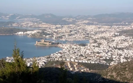 Bodrum’da dağ başına 2 milyonluk vergi vatandaşı isyan ettirdi... Bu ayıp temizlenir mi?