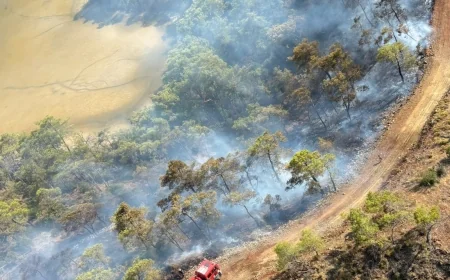 Orman yangını 2,5 saatte kontrol altına alındı