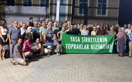 Milas ve Yatağanlı zeytin üreticileri harekete geçti, dava açıldı