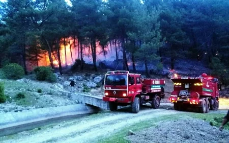 Fethiye'de orman yangını