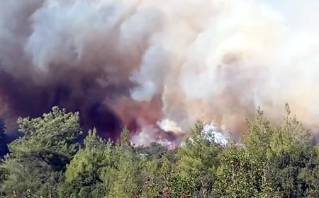 Muğla ormanları alev alev, tarlada yakılan anız ateşi ormana sıçradı