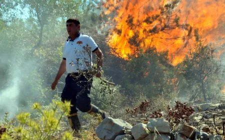 Yalıkavak'ta anız yakarken tarlayı yaktı, bir itfaiye eri hastanelik oldu