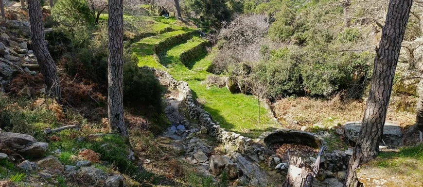 Madencilerin talanı altında bulunan Latmos (Beşparmak) Dağları 1. Derece Arkeolojik Sit Alanı ilan edildi, yeni kaya resimleri bulundu