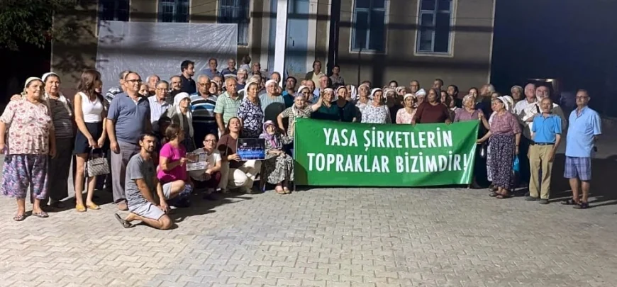 Milas ve Yatağanlı zeytin üreticileri harekete geçti, dava açıldı