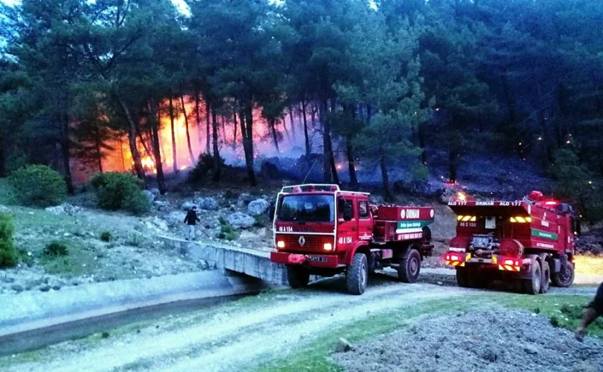 Fethiye'de orman yangını
