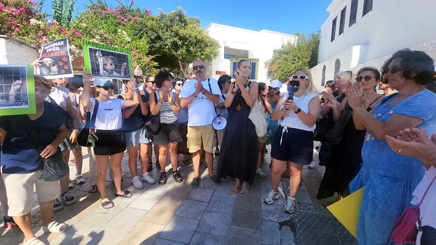 Bodrum’da hayvanseverlerden Kaymakamlık önünde katliam yasasına tepki:  “Katliam yasasıyla vicdanlar öldürüldü” 