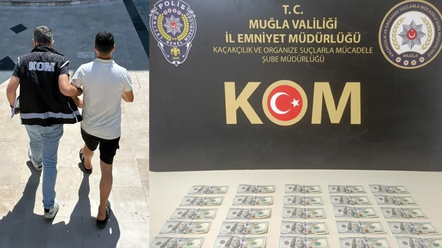 Sahte dolarları piyasaya süremeden yakalandı