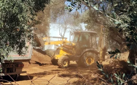 Kuş sesleri yerine matkap ve iş makineleri sesleri arasında turizm, yasağı takan yok, inşaata devam