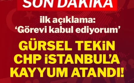 Son Dakika.... CHP İstanbul İl Başkanlığı'na Gürsel Tekin kayyum atandı