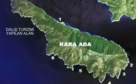 Bodrum’un karşısındaki Kara Adayı satılığa çıkardılar