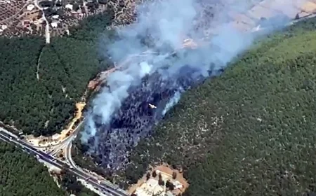 Bodrum’da trafo ormanı yaktı büyük korku yaşandı