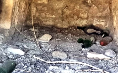 Bodrum’da tarihi ayıp… Büyük İskender’in gelipte giremediği teslim alamadığı 2500 yıllık antik Myndos kapısı çöplük ve tuvalet haline geldi.