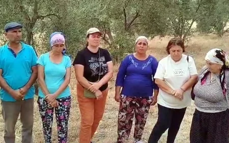 Limak- İçtaş Akbelen’de sondaj ve zeytin sayımına başladı köylü isyan etti, nöbete başladılar