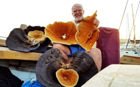 Aksona Mehmet…Bodrum’un efsane süngercisi son dalışını Ege’de yapacak