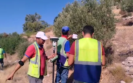 YK Enerji  İkizköy- Akbelen'de zeytin tarlalarında zeytin ağaçlarının sayımına başladı köylü isyan etti