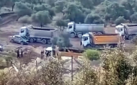 İkizköy AKbelen’de zeytinleri sökmeye başladılar