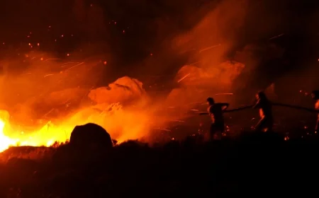 Bodrum Akyarlar’da  makilik yangını paniğe yol açtı