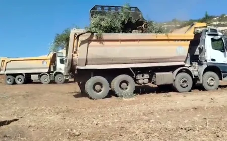 Limak- İçtaş AKbelen’de   zeytin sökümünde AKP li iş insanı ile birlikte