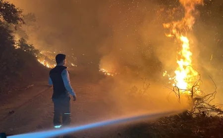 Muğla ormanları sabaha kadar alev alev yandı