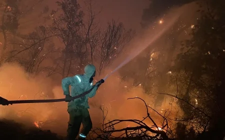 Muğla yangınları son durum...MUĞLA ORMAN YANGINLARI İÇİN SEFERBER OLDU