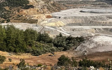 Hukukçular İkizköy Akbelen’e çıkartma yaptı zeytin sökümüne sert tepki gösterdi