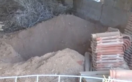 Ölen annesini ahıra gömüp maaşını almaya devam etti