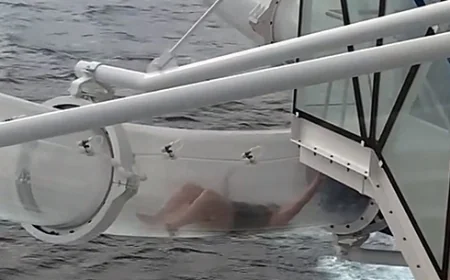 Kruvaziyer yolcu gemisinde turistin yaşadığı kabus anları videoda