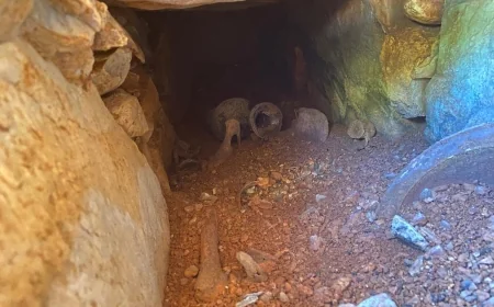Sulama deposu inşaatından tarih fışkırdı