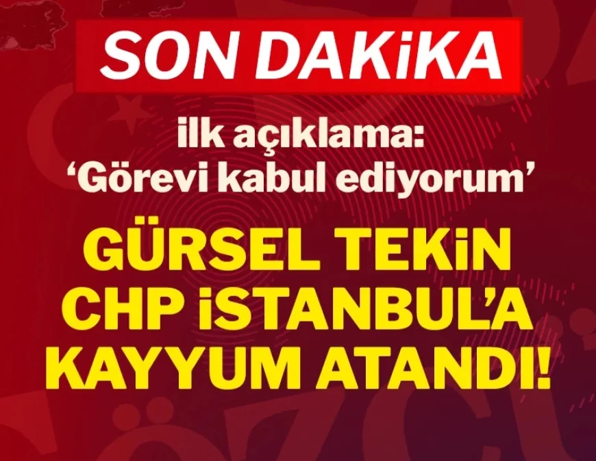 Son Dakika.... CHP İstanbul İl Başkanlığı'na Gürsel Tekin kayyum atandı