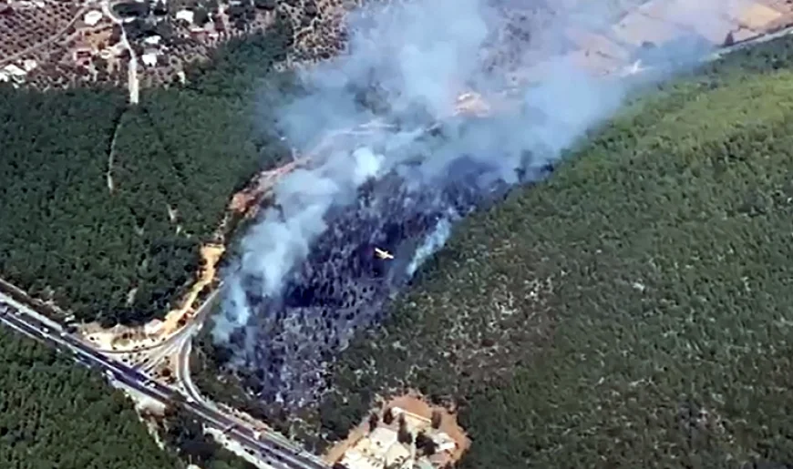 Bodrum’da trafo ormanı yaktı büyük korku yaşandı