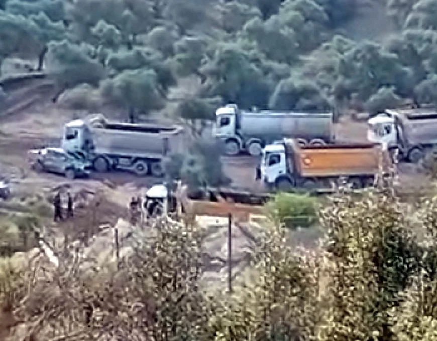 İkizköy AKbelen’de zeytinleri sökmeye başladılar