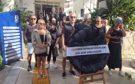Bodrum Belediyesi'ne hayvanseverler siyah çelenk bıraktı "Bugün hesap sorma günüdür"
