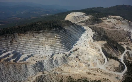 Muğlalı çevreciler ayakta “Muğla’nın geleceği taşta değil, toprakta; yıkımda değil, adil geçişte”