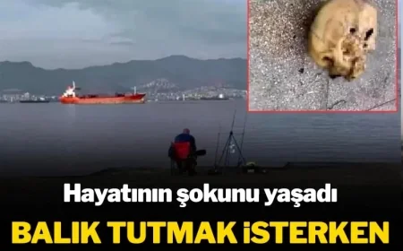 Oltaya insan kafası takıldı