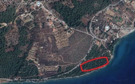 MUĞLA/ KANDİL ORMANINDA 1. DERECE DOĞALSİT ALANINI YAPILAŞMA İHALESİNE ÇIKARDILAR