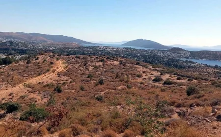 Bodrum’un ortasında toptan satamadılar, parça parça satışa yöneldiler