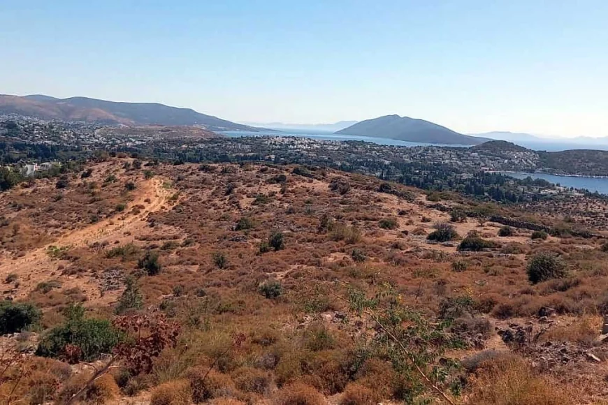 Bodrum’un ortasında toptan satamadılar, parça parça satışa yöneldiler