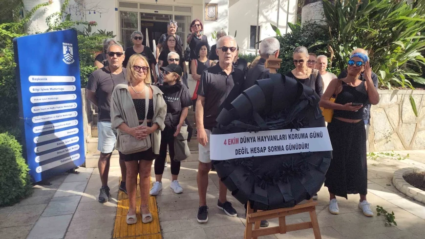 Bodrum Belediyesi'ne hayvanseverler siyah çelenk bıraktı "Bugün hesap sorma günüdür"