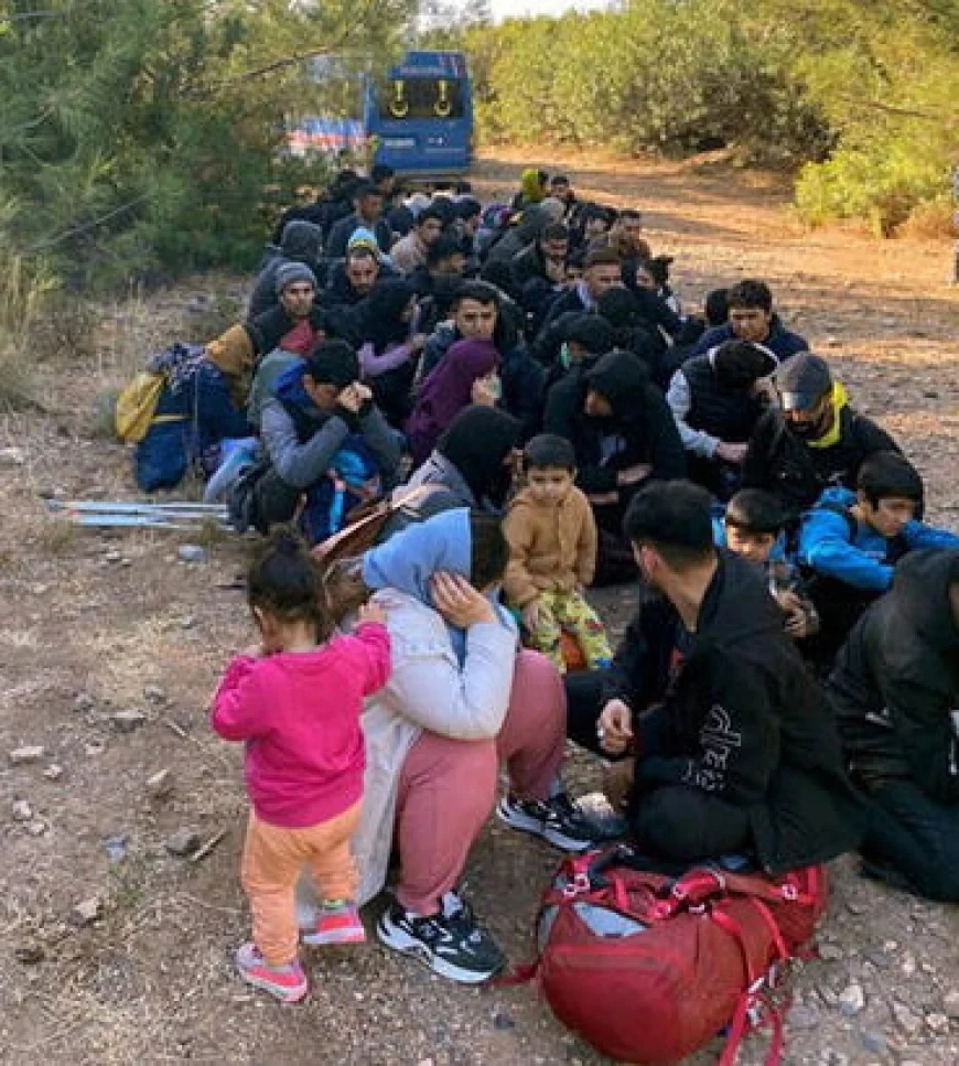 Bodrum ormanlarında  33 göçmen ve 4 göçmen kaçakçısı şüphelisi yakalandı