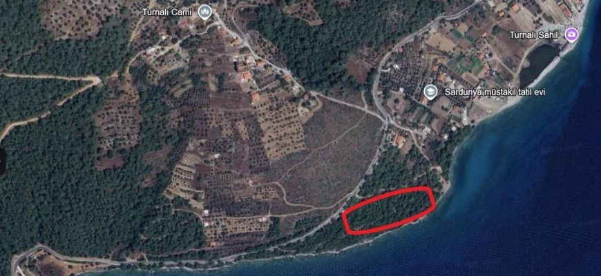 MUĞLA/ KANDİL ORMANINDA 1. DERECE DOĞALSİT ALANINI YAPILAŞMA İHALESİNE ÇIKARDILAR